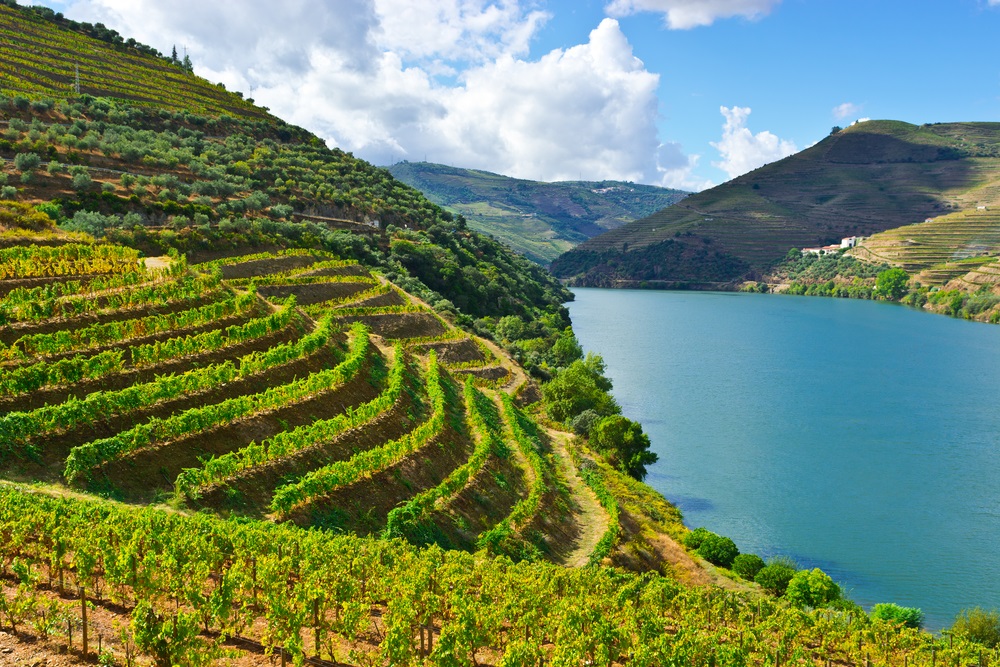 Douro Valley, Douro