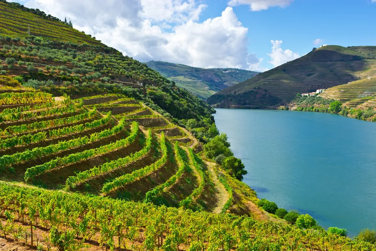 Douro Valley - Douro Valley & Lisbon Private Tour